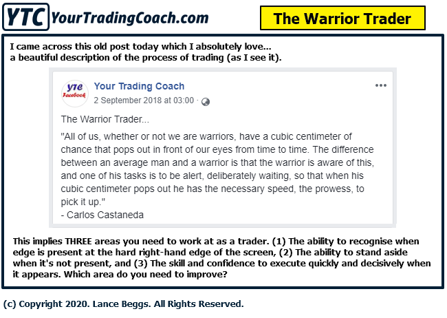 <image: The Warrior Trader>